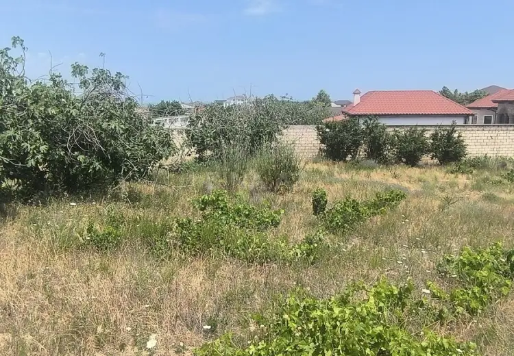 24 sot Torpaq Satılır, Novxanı, Abşeron