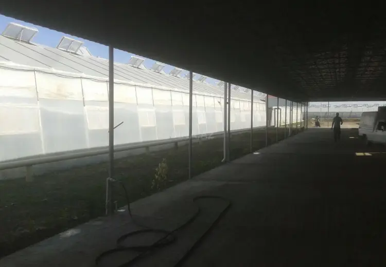 500000 m² Obyekt / Ofis Satılır, Salyan