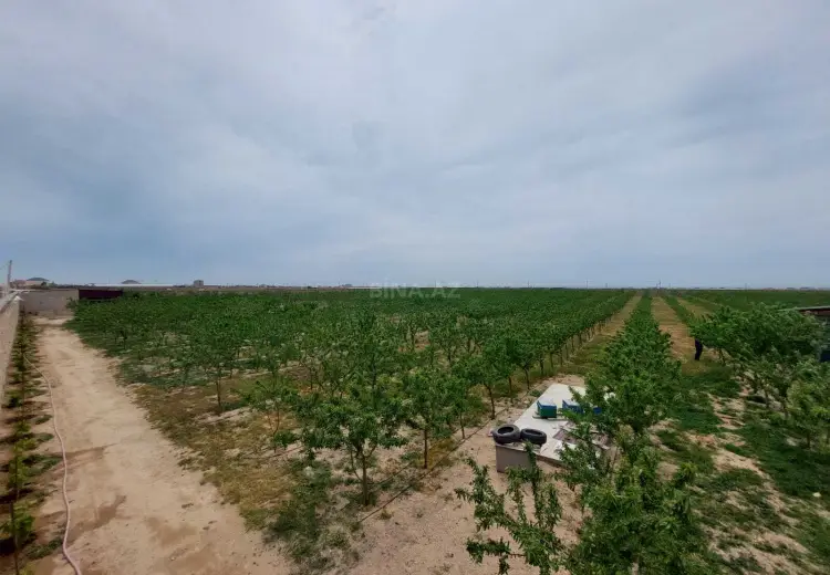 20000 m² Obyekt / Ofis Satılır, Türkan, Xəzər, Bakı