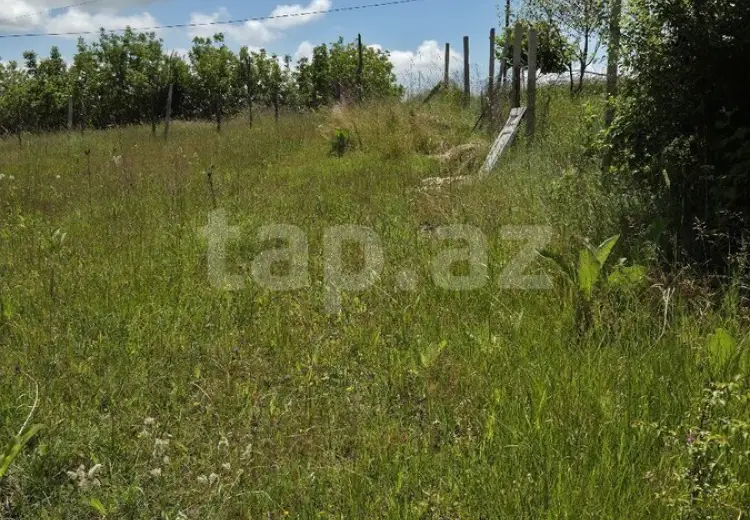 0 m² Obyekt / Ofis , İsmayıllı