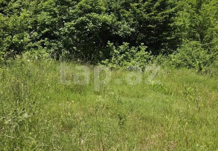 0 m² Obyekt / Ofis , İsmayıllı