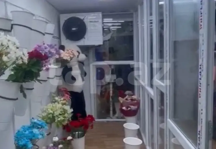 0 m² Obyekt / Ofis , Gəncə