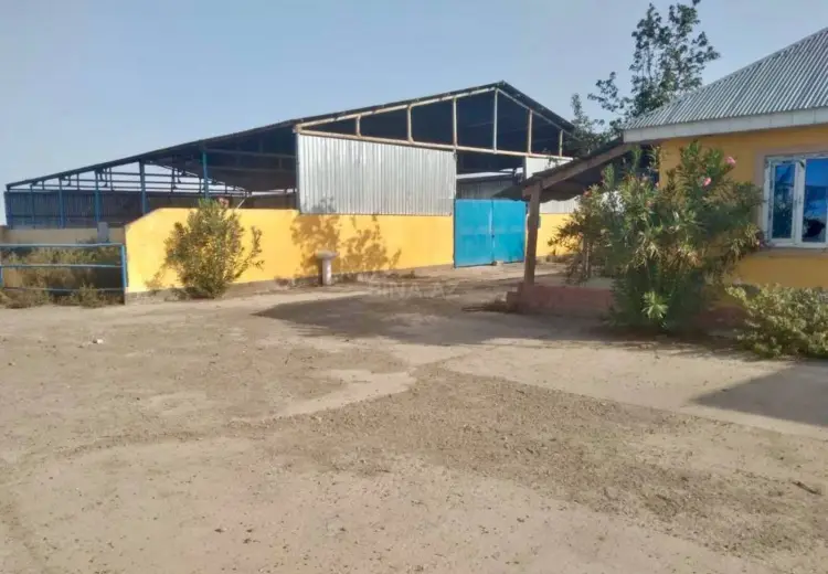 54500 sot Torpaq Kirayə (aylıq), İmişli