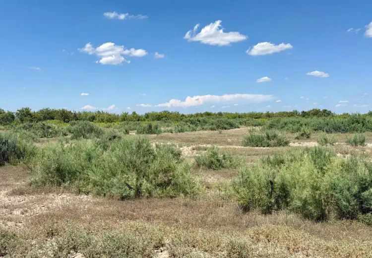 54500 sot Torpaq Kirayə (aylıq), İmişli