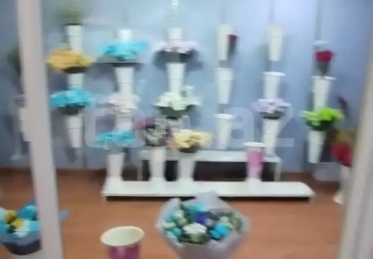 0 m² Obyekt / Ofis , Gəncə