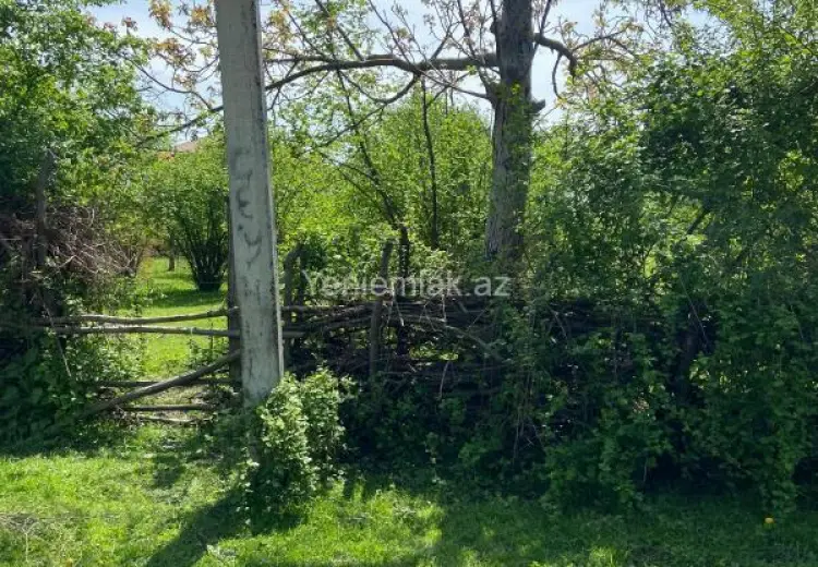 15 sot Torpaq Satılır, Zaqatala