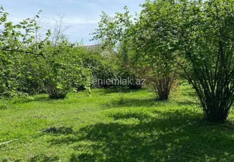 15 sot Torpaq Satılır, Zaqatala