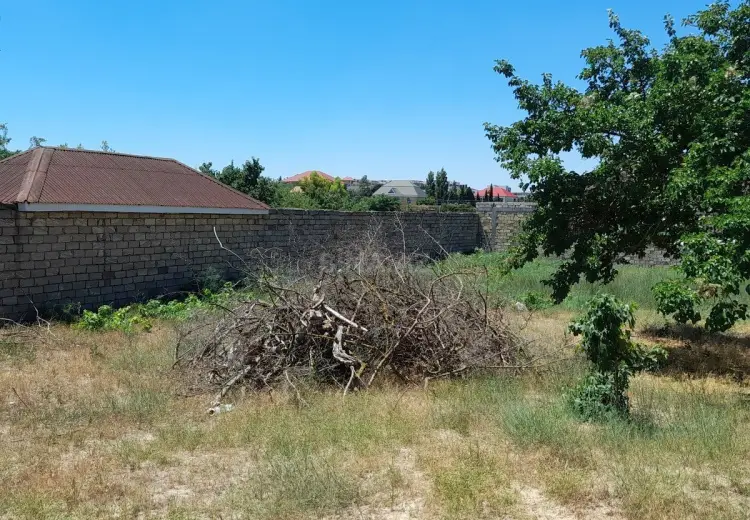 11.5 sot Torpaq Satılır, Bilgəh qəs., Sabunçu, Bakı
