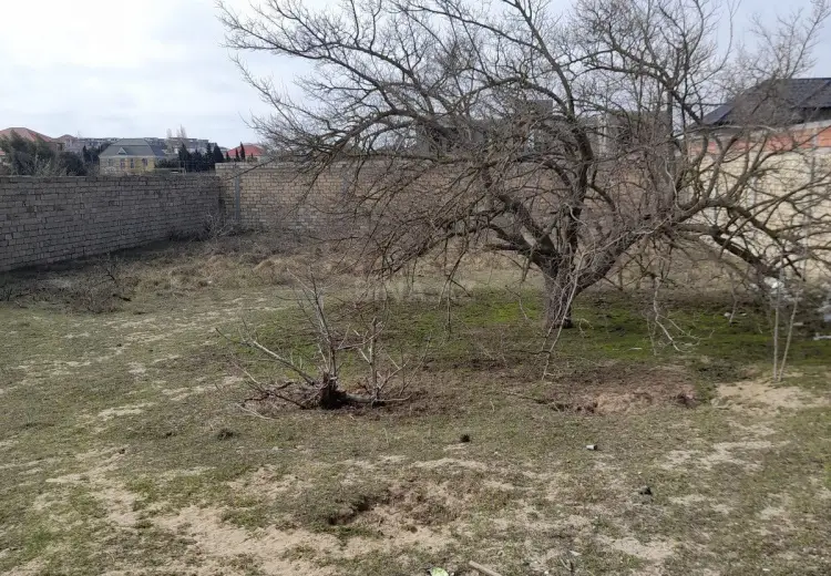 11.5 sot Torpaq Satılır, Bilgəh qəs., Sabunçu, Bakı