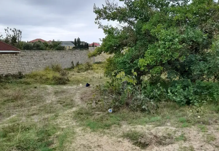 11.5 sot Torpaq Satılır, Bilgəh qəs., Sabunçu, Bakı