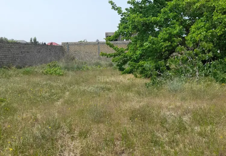 11.5 sot Torpaq Satılır, Bilgəh qəs., Sabunçu, Bakı