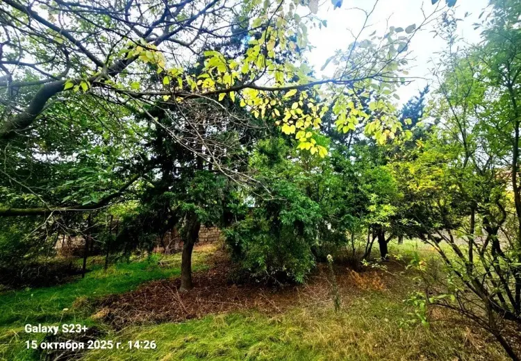 24 sot Torpaq Satılır, Bilgəh qəs., Sabunçu, Bakı