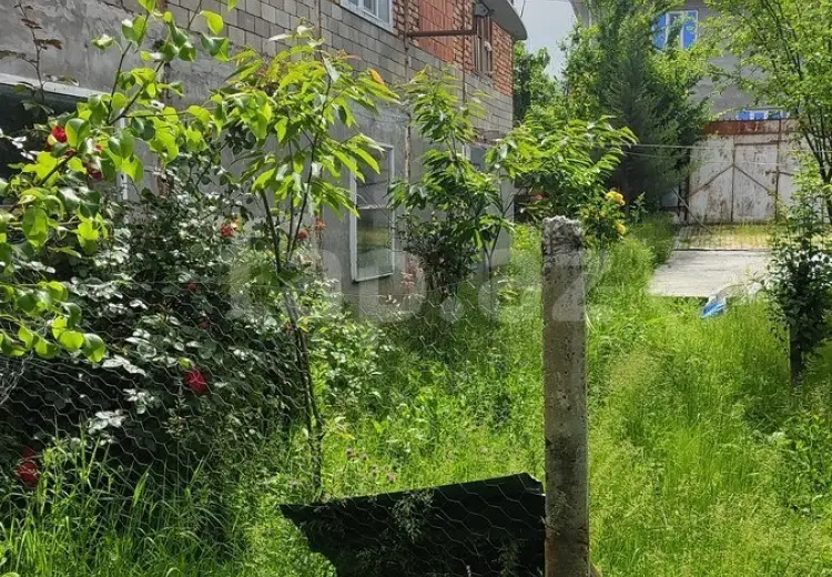 0 m² Obyekt / Ofis , Qəbələ