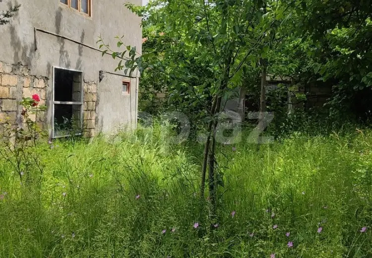 0 m² Obyekt / Ofis , Qəbələ
