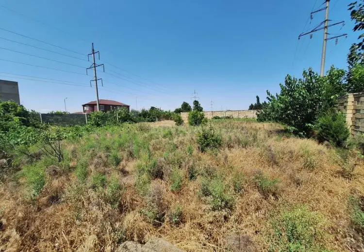 10 sot Torpaq Satılır, Saray, Abşeron