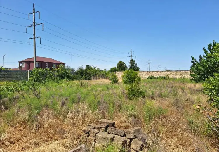 10 sot Torpaq Satılır, Saray, Abşeron
