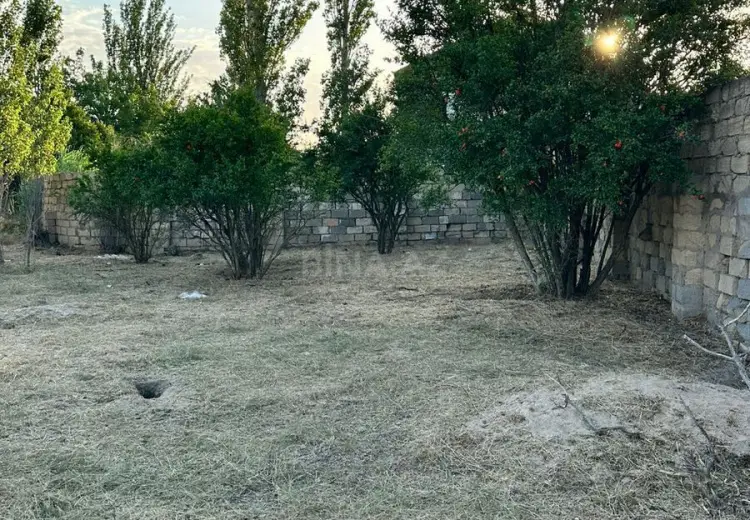 4 sot Torpaq Satılır, Novxanı, Abşeron