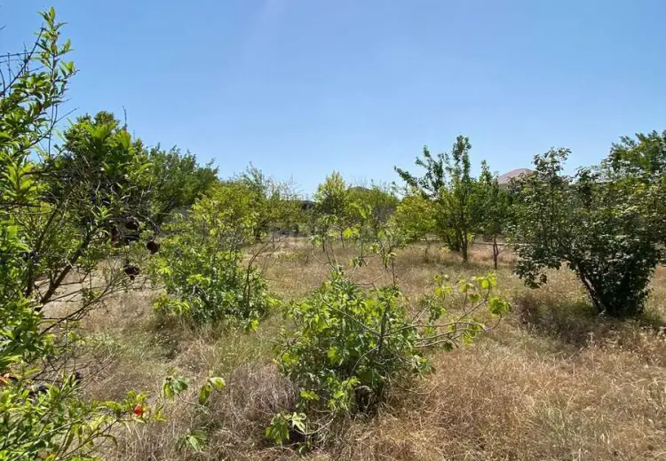 10 sot Torpaq Satılır, Novxanı, Abşeron