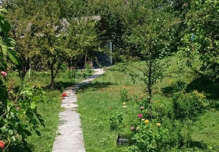 20 sot Torpaq Satılır, Qəbələ