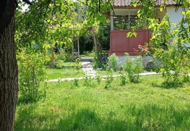 20 sot Torpaq Satılır, Qəbələ