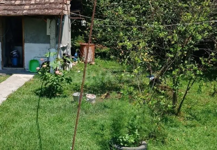 20 sot Torpaq Satılır, Qəbələ
