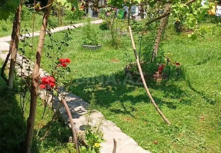 20 sot Torpaq Satılır, Qəbələ