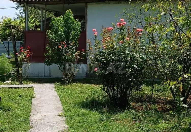 20 sot Torpaq Satılır, Qəbələ