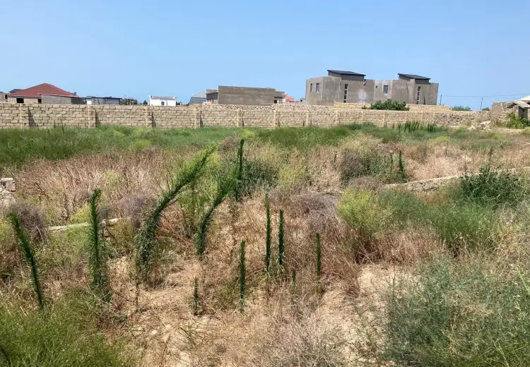 12 sot Torpaq Satılır, Nardaran qəs., Sabunçu, Bakı