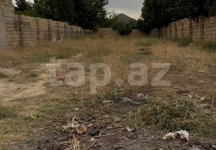 0 m² Obyekt / Ofis , Saray, Abşeron