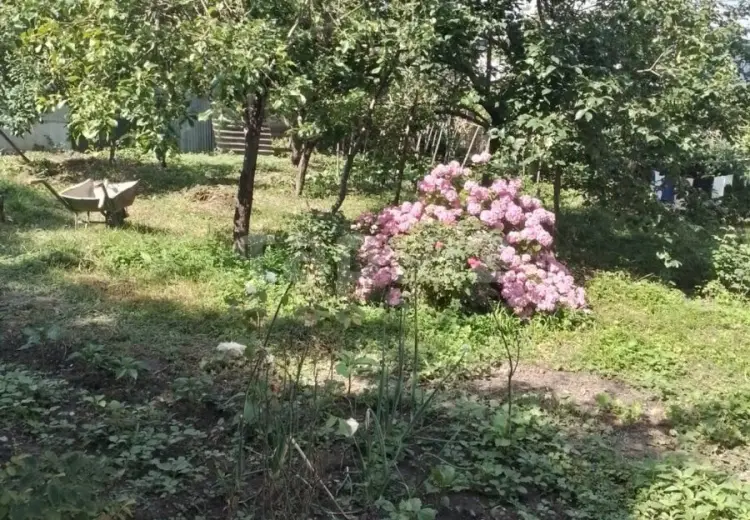 0 m² Obyekt / Ofis , Bakı