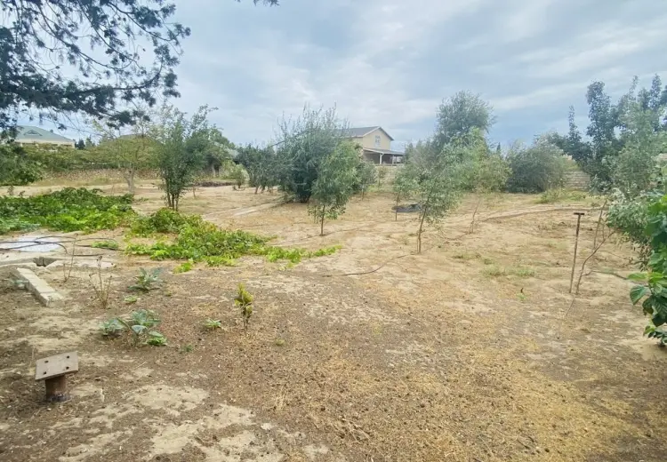 30 sot Torpaq Satılır, Bilgəh qəs., Sabunçu, Bakı