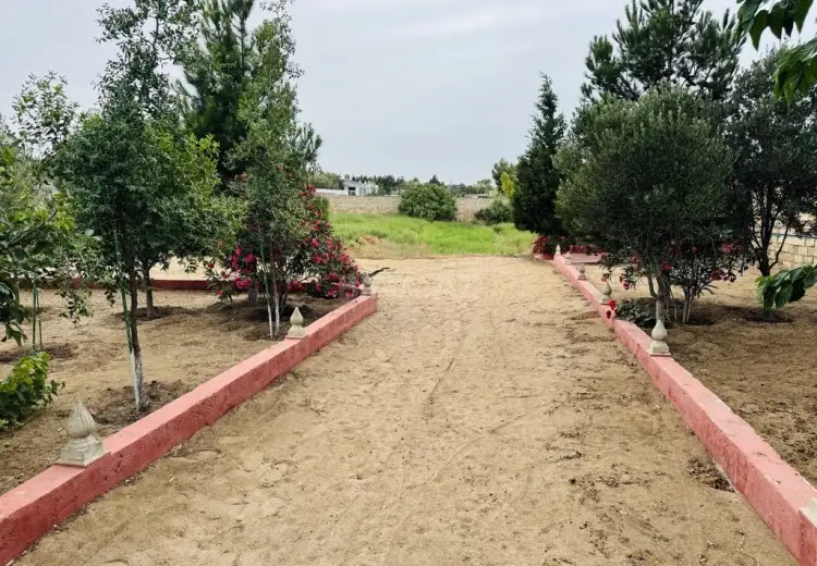 24 sot Torpaq Satılır, Bilgəh qəs., Sabunçu, Bakı
