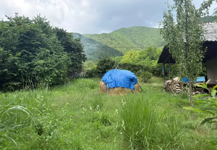 37 sot Torpaq Satılır, Şəki