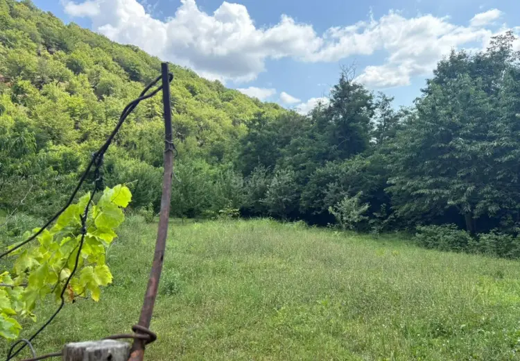 37 sot Torpaq Satılır, Şəki