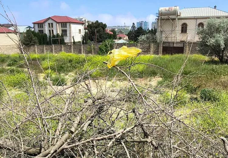 26 sot Torpaq Satılır, Badamdar qəs., Səbail, Bakı