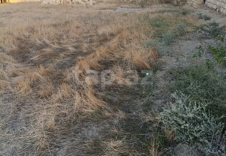 0 m² Obyekt / Ofis , Xırdalan