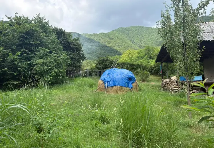 0 m² Obyekt / Ofis , Şəki