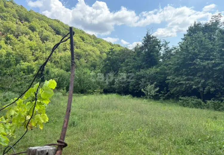 0 m² Obyekt / Ofis , Şəki