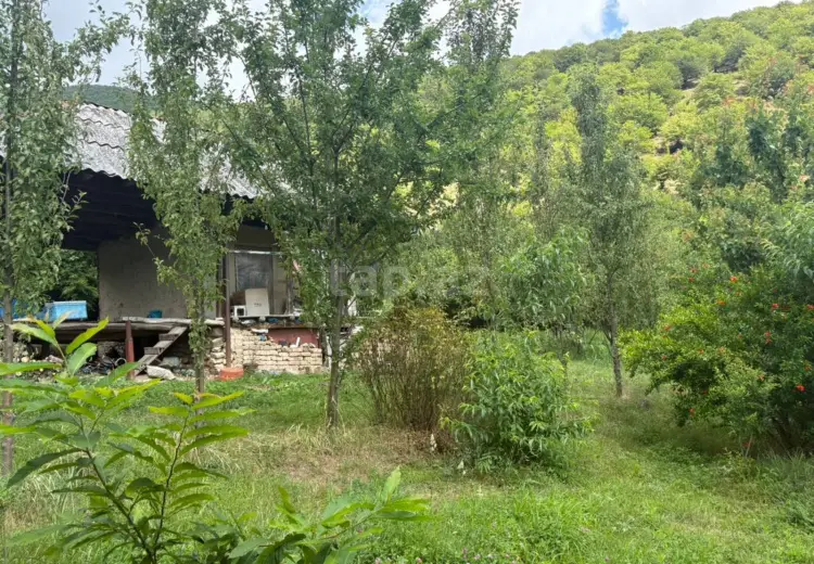 0 m² Obyekt / Ofis , Şəki