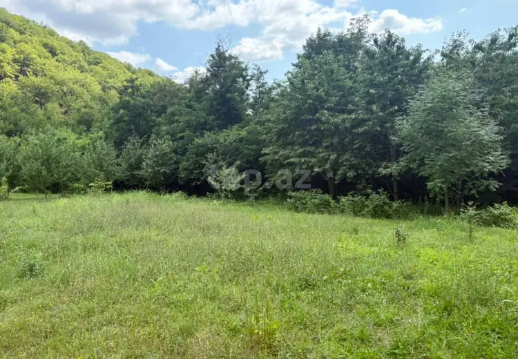 0 m² Obyekt / Ofis , Şəki