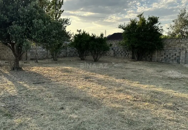 4 sot Torpaq Satılır, Novxanı, Abşeron