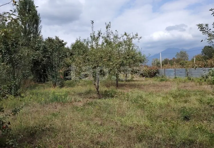 0 m² Obyekt / Ofis , Qəbələ