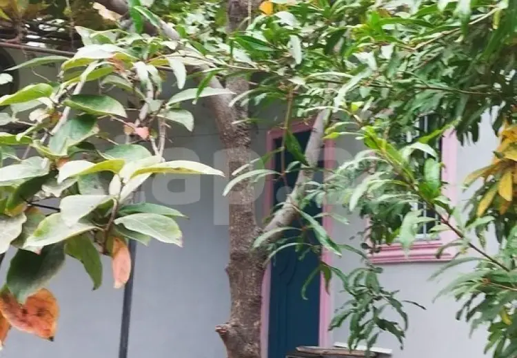5 otaqlı mənzil , Bayıl qəs., Səbail, Bakı