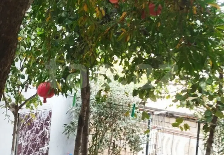 5 otaqlı mənzil , Bayıl qəs., Səbail, Bakı