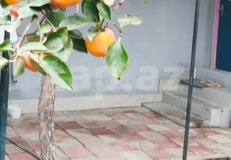 5 otaqlı mənzil , Bayıl qəs., Səbail, Bakı