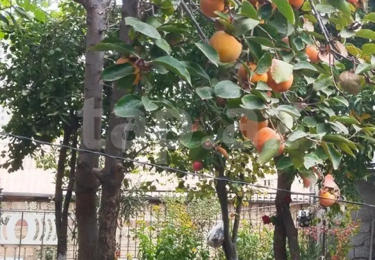 5 otaqlı mənzil , Bayıl qəs., Səbail, Bakı