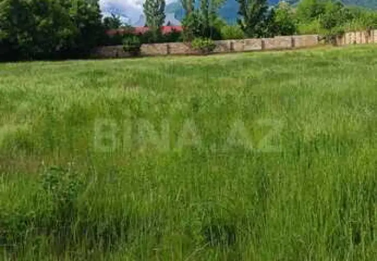 12 sot Torpaq Satılır, Salyan