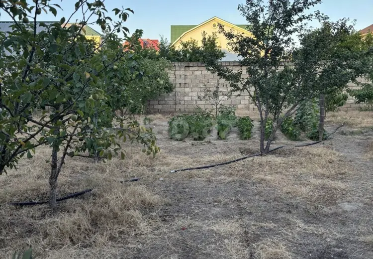 0 m² Obyekt / Ofis , Buzovna, Xəzər, Bakı