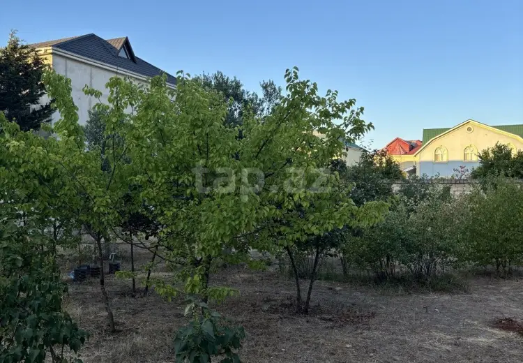 0 m² Obyekt / Ofis , Buzovna, Xəzər, Bakı