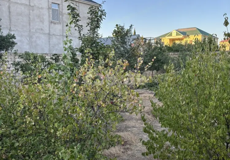 0 m² Obyekt / Ofis , Buzovna, Xəzər, Bakı